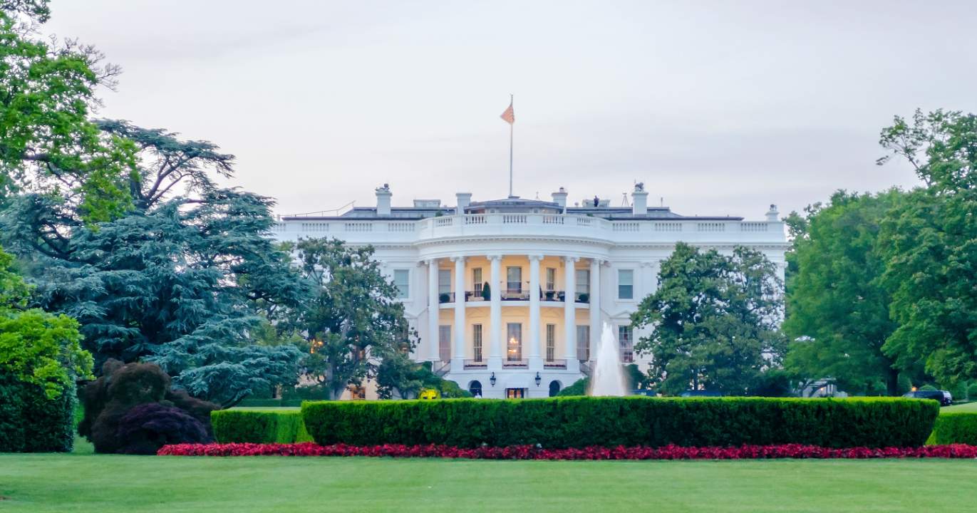 America and Its Dynasties—A Fascination That Refuses to Die