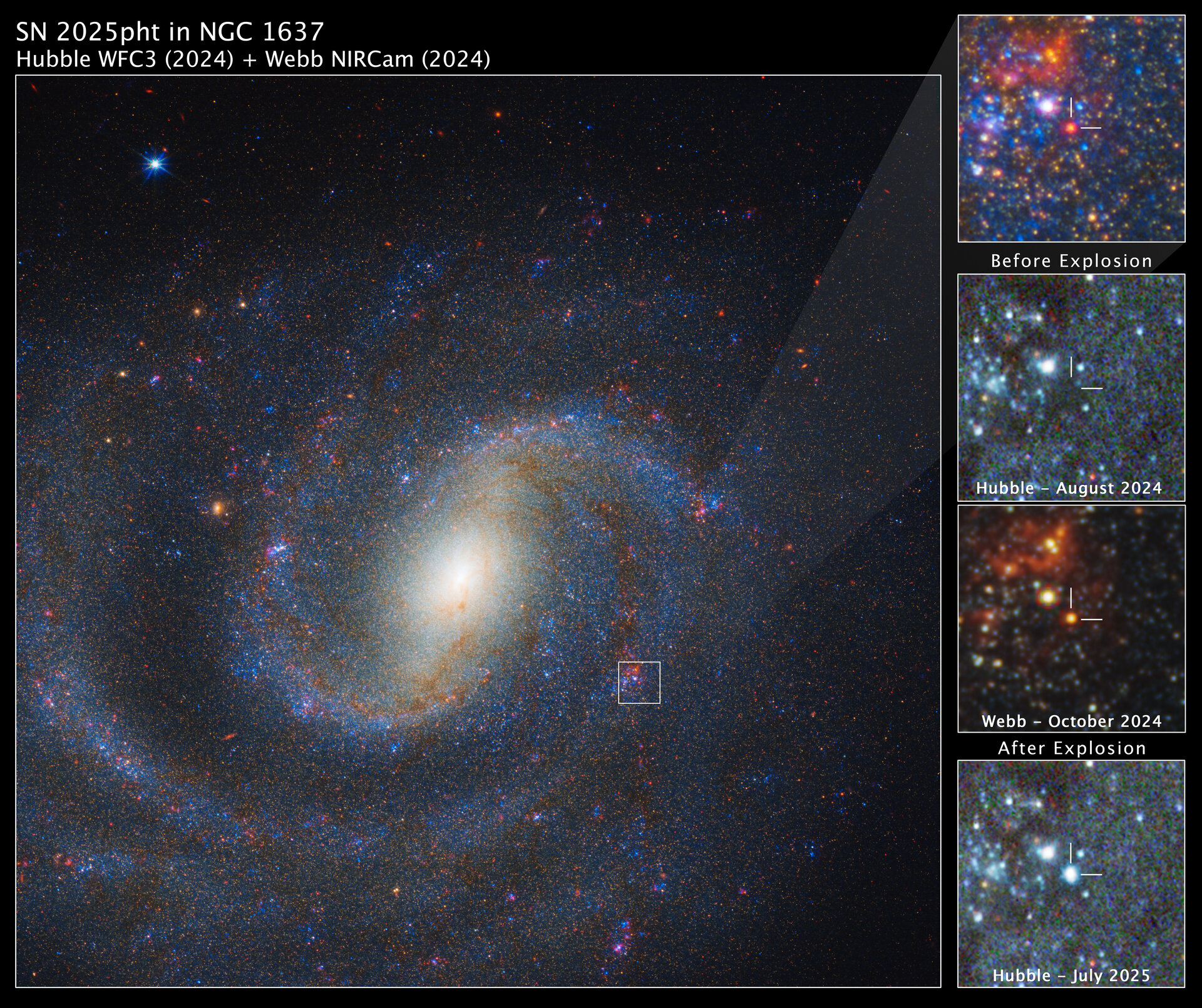 Webb Identifies the Exact Star That Exploded 40 Million Years Ago