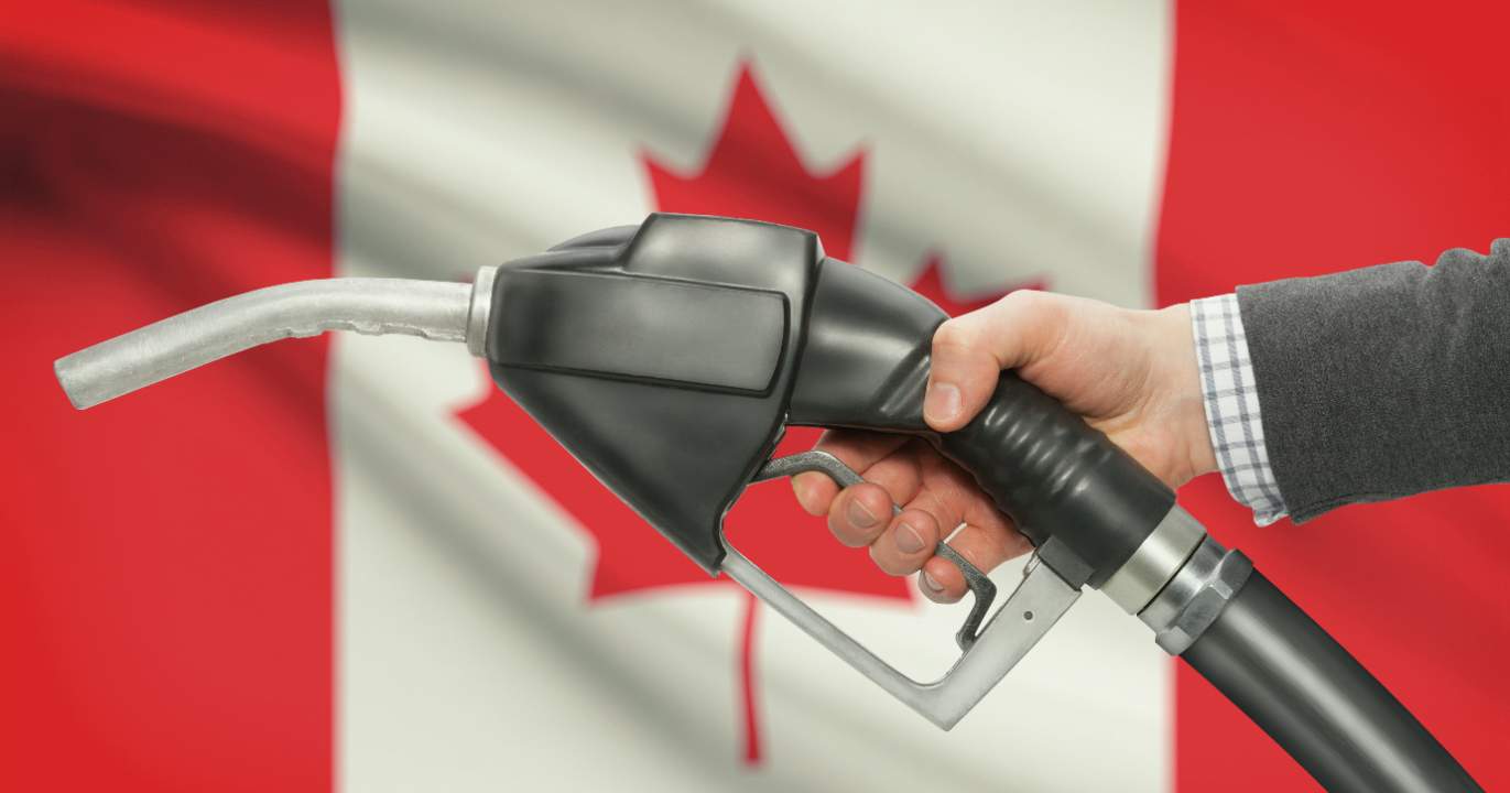 Pierre Poilievre is laughing in the shadows—and he's right