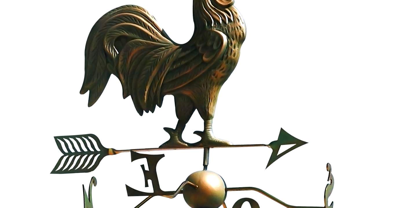 Tweet Diplomacy and Its Silent Victims