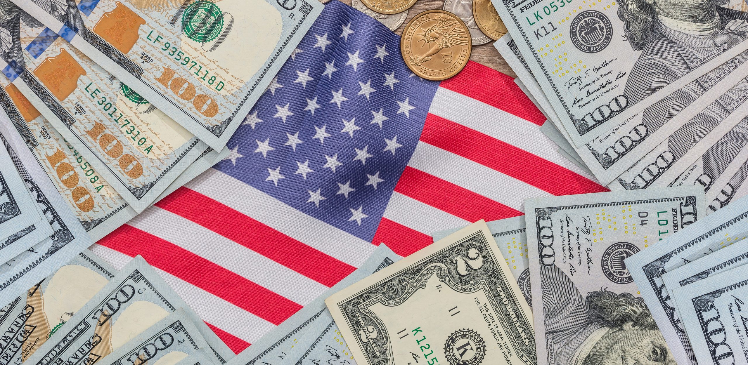 The DHS's official justification: procurement costs and enhanced vetting