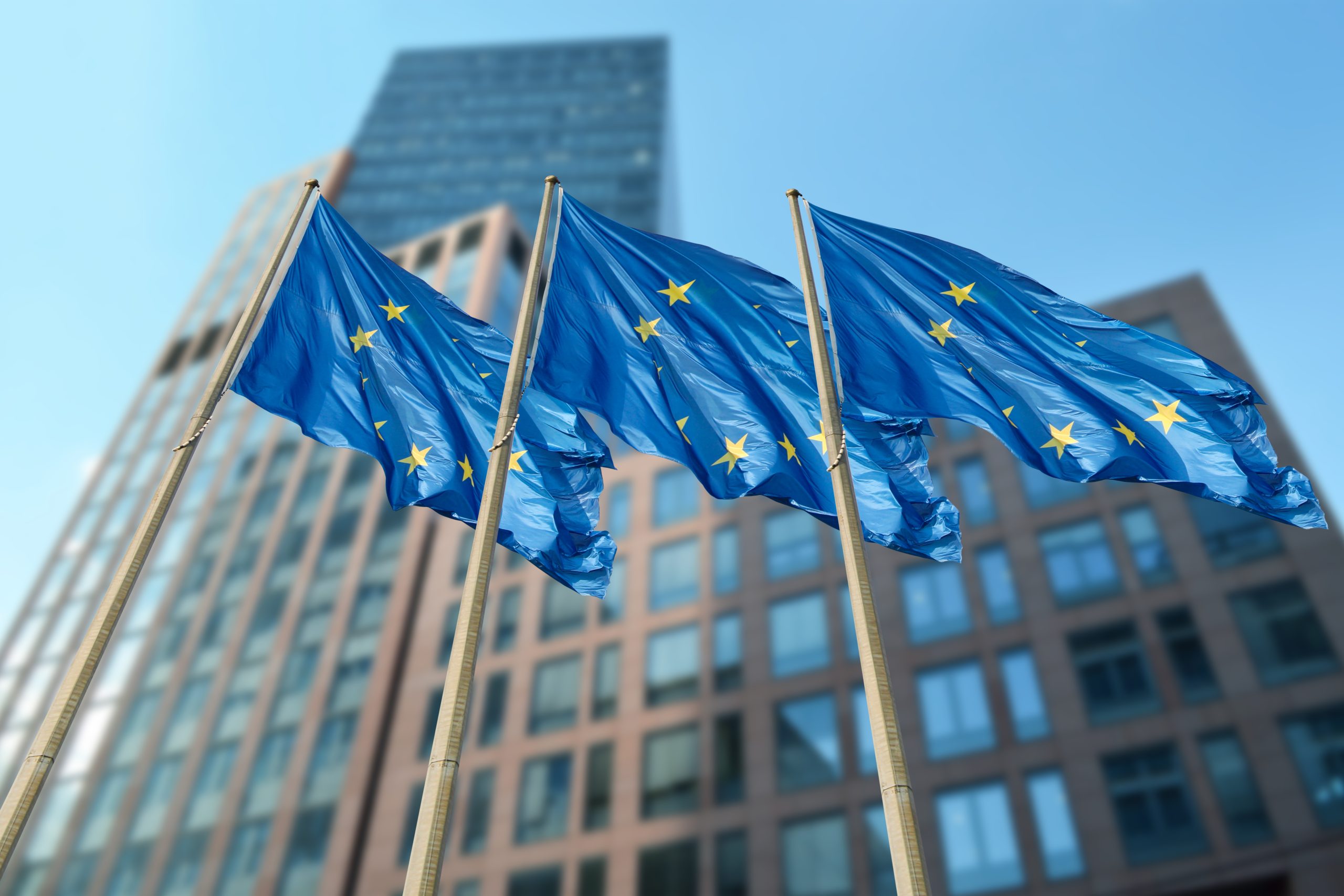 The Baltics Lead the Way: A Lesson in Courage for Brussels