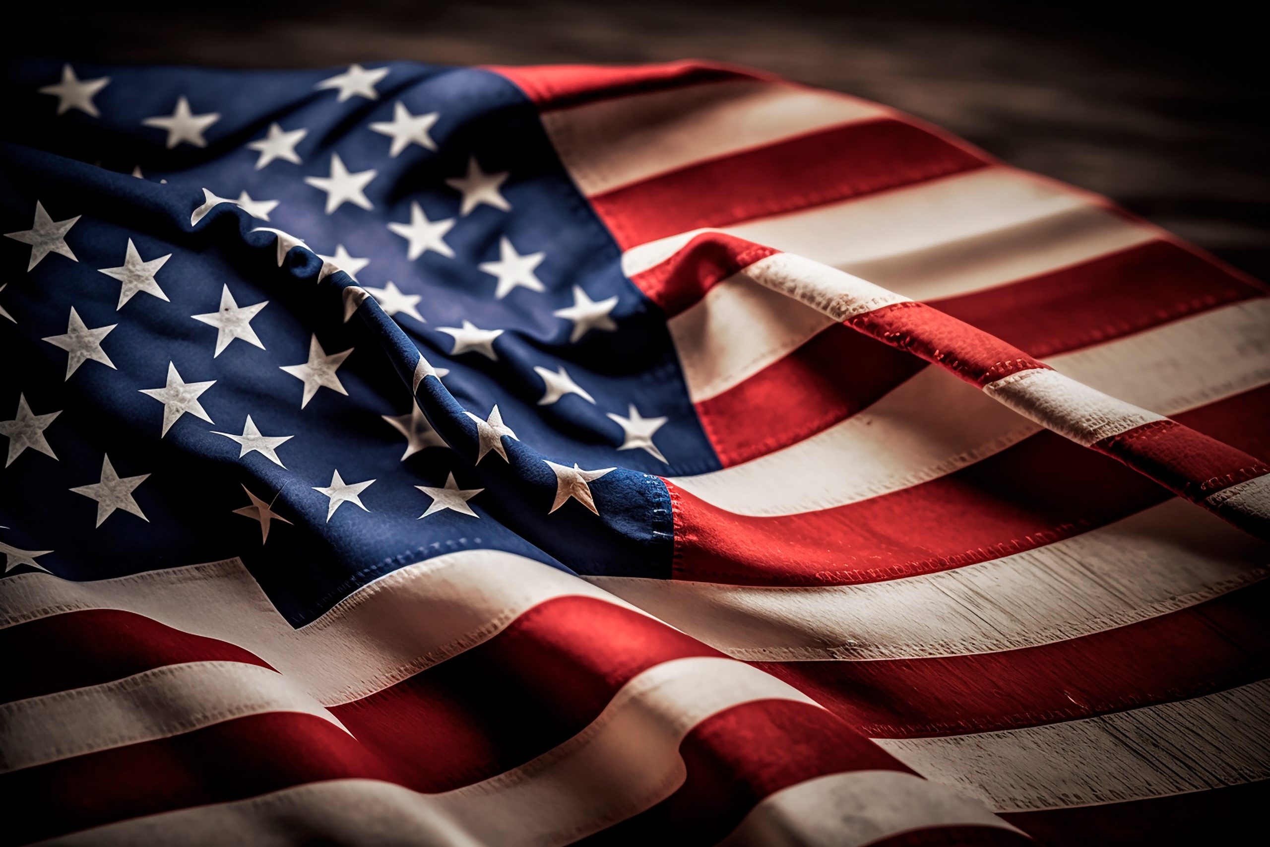 The Argument for Electoral Integrity: Political Manipulation