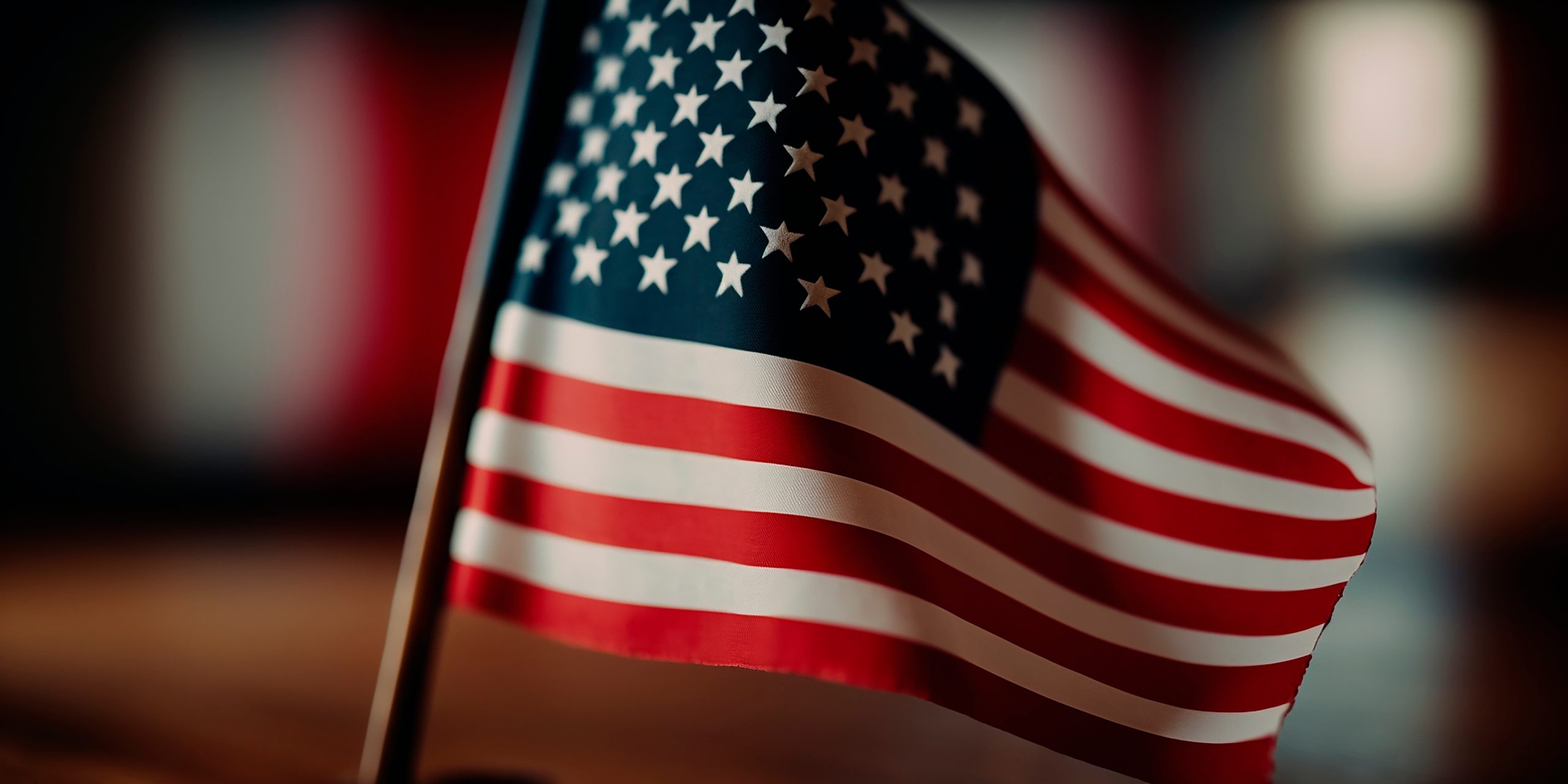 The Response of the States—A United Front and Cracks in the Armor