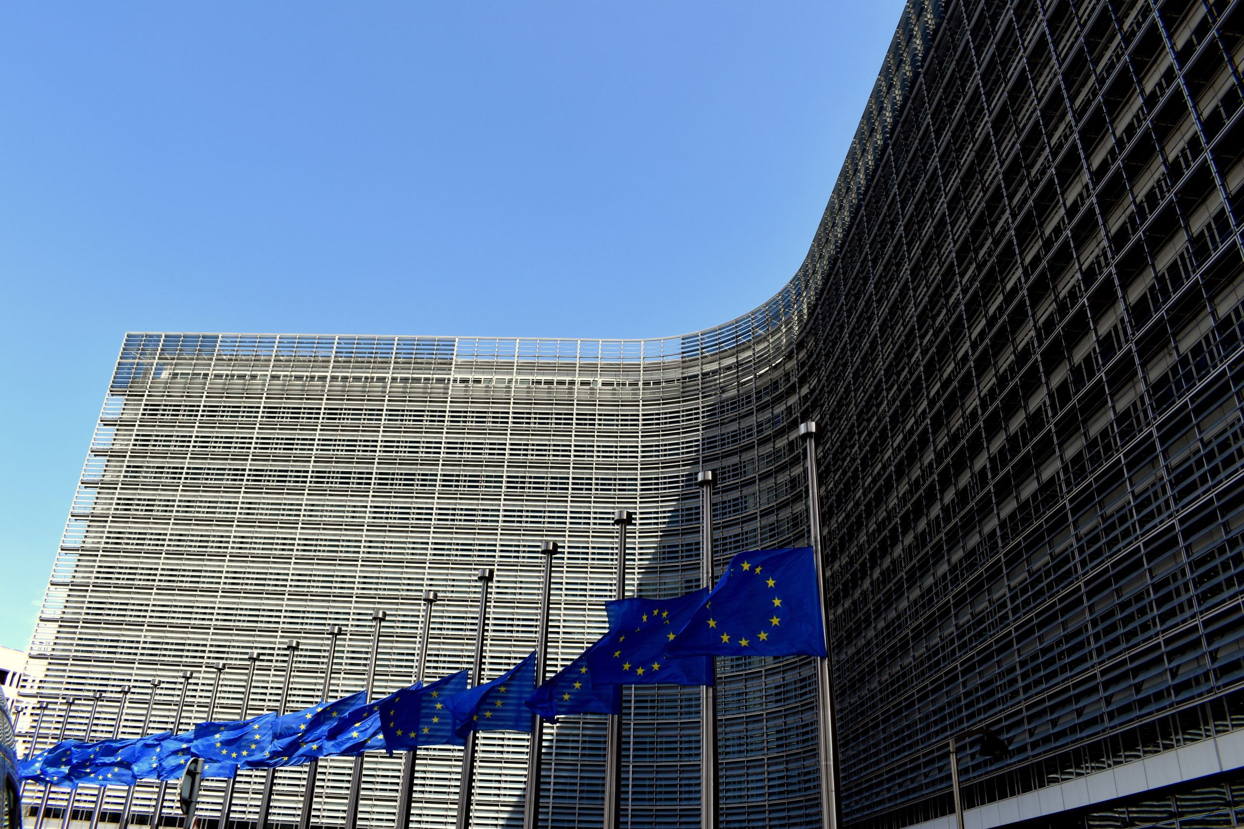 The Role of Hungarian Domestic Politics in Magyar's Calculations