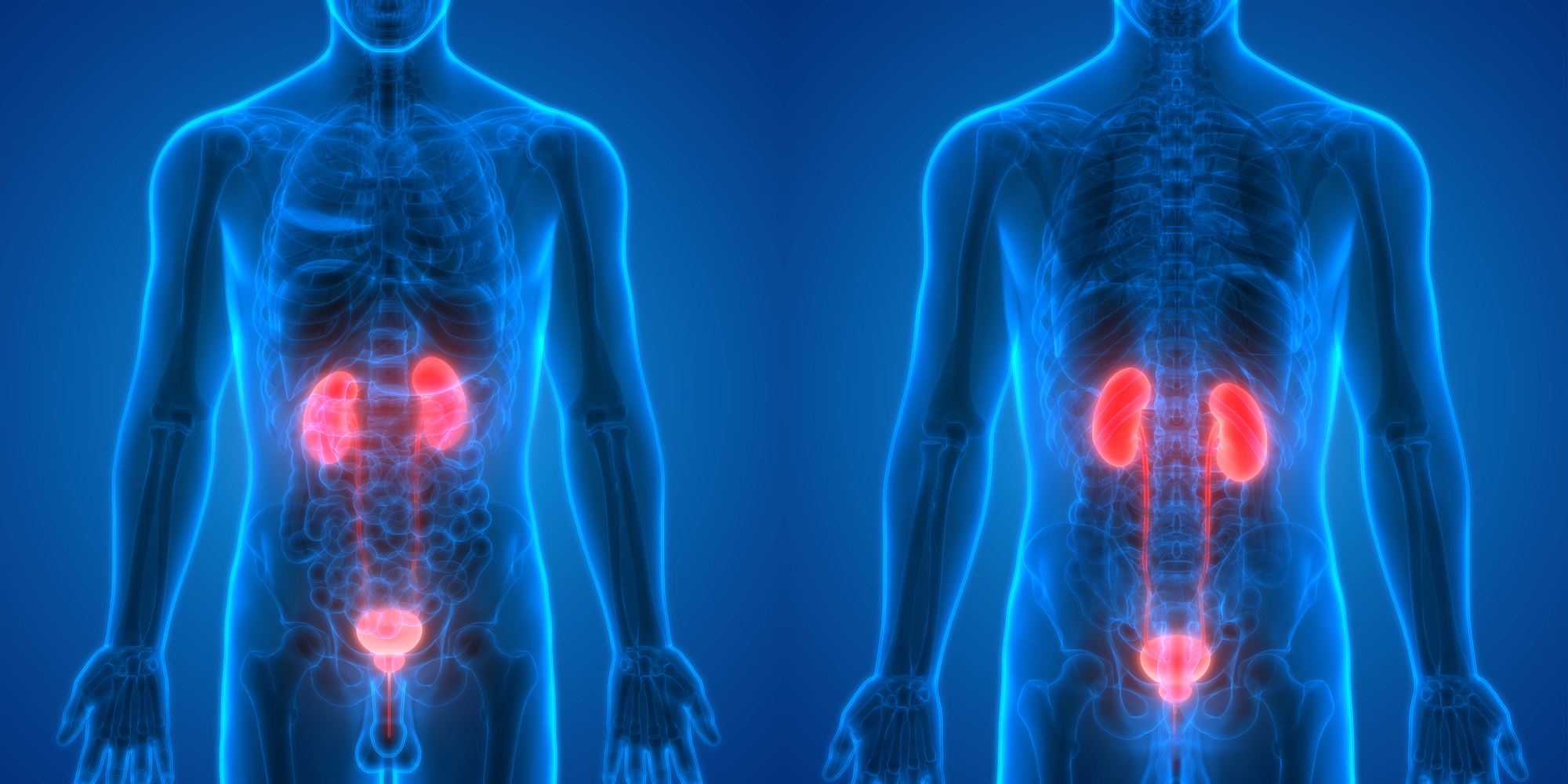 ANALYSIS: A Phase 3 Trial That Could Change the Lives of Patients with Bladder Cancer
