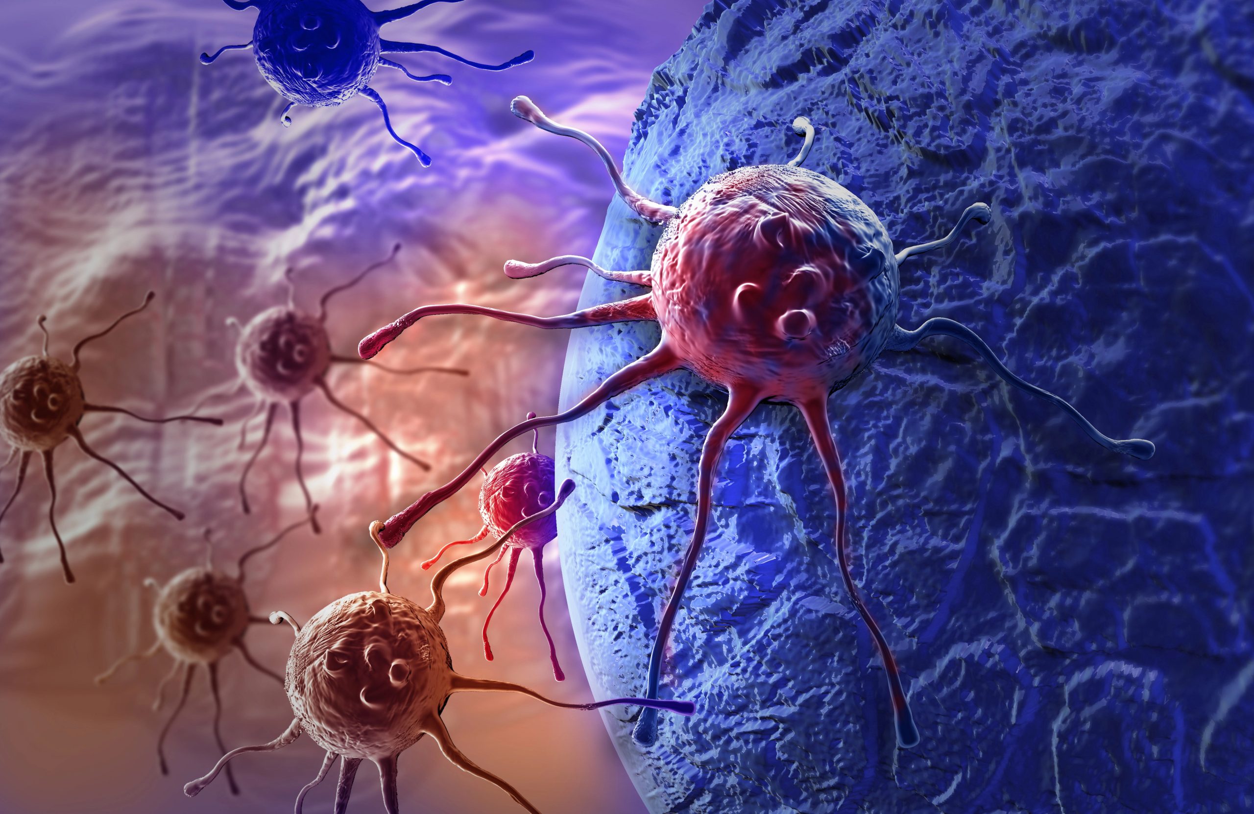 IN THE SPOTLIGHT: An Experimental Cancer Vaccine Draws on the Body's COVID-19 Immune Memory
