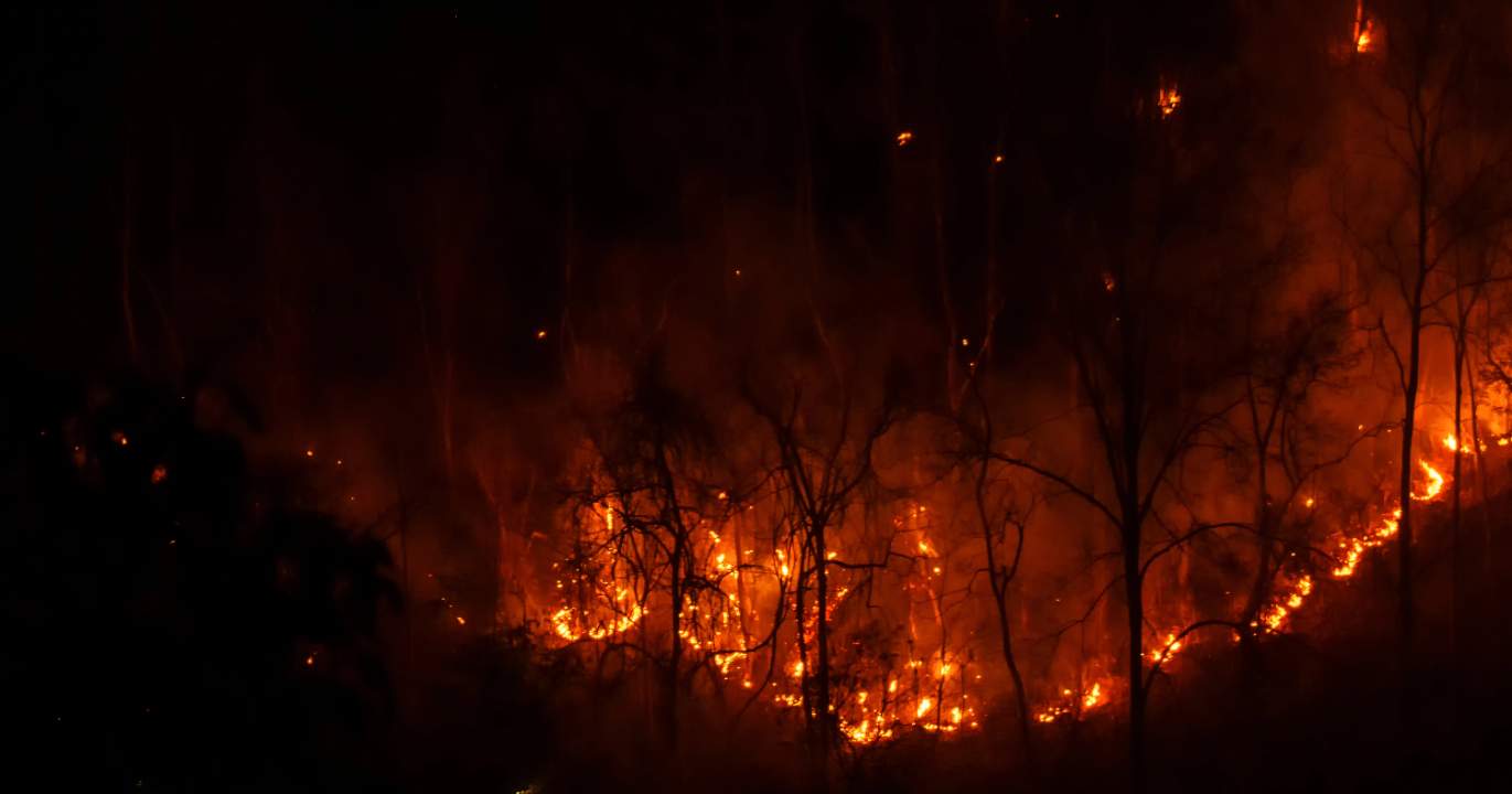 ANALYSIS: Doug Ford to Trump on the wildfires — “One day, it’ll be your turn”