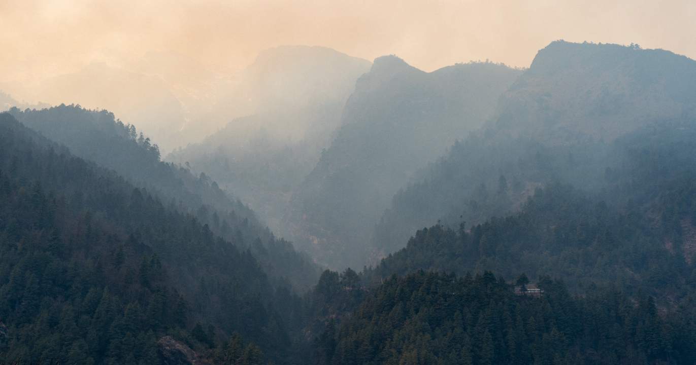 The scientific context: a truly exceptional fire season