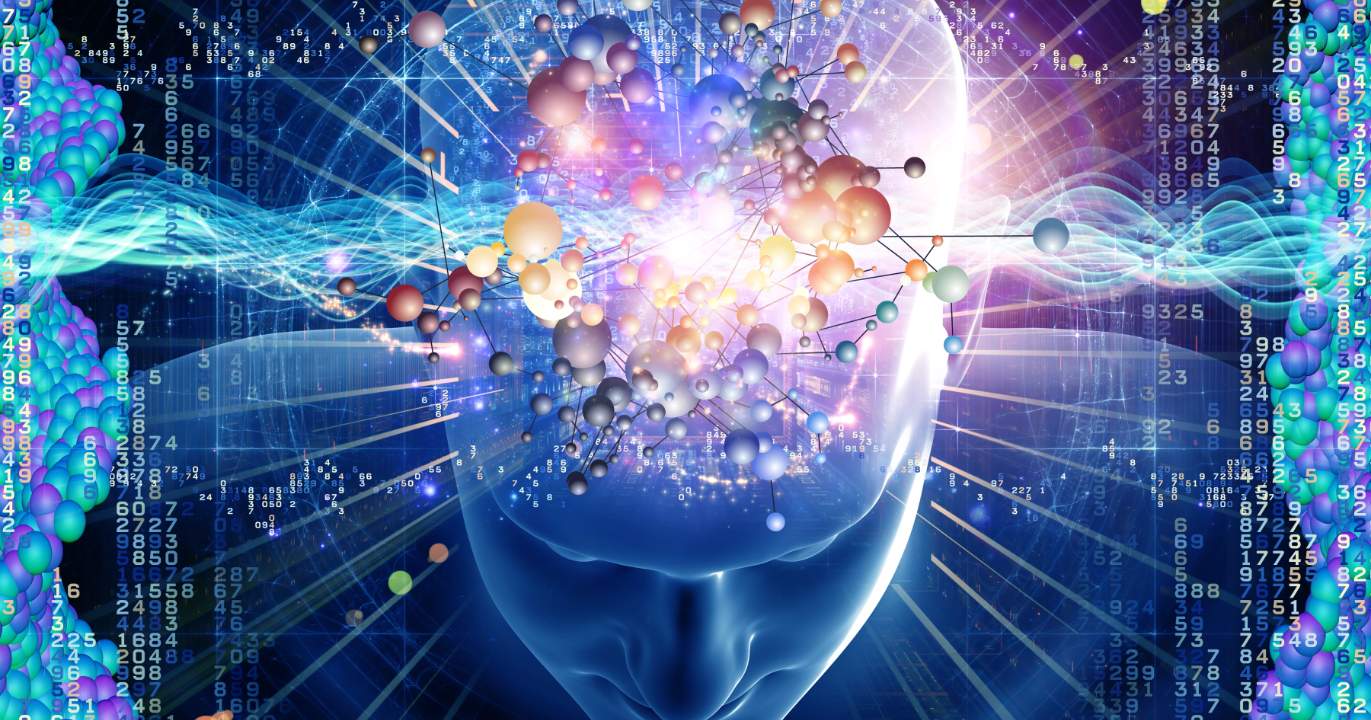 Copilot, Supermaven, Amazon Q: The Artificial Memory of Code
